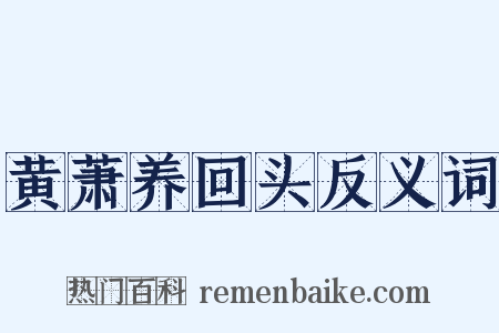 黄萧养回头反义词是什么意思的图片